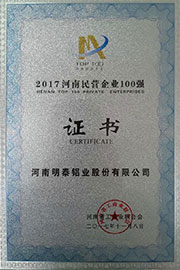 2017年中國河南民營企業100強